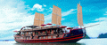 Halong tours