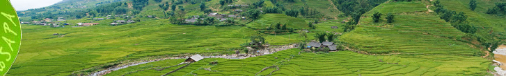 Sapa Vietnam